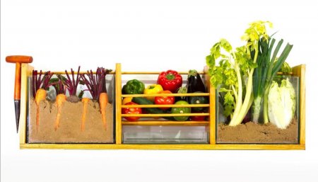 verduras en caja