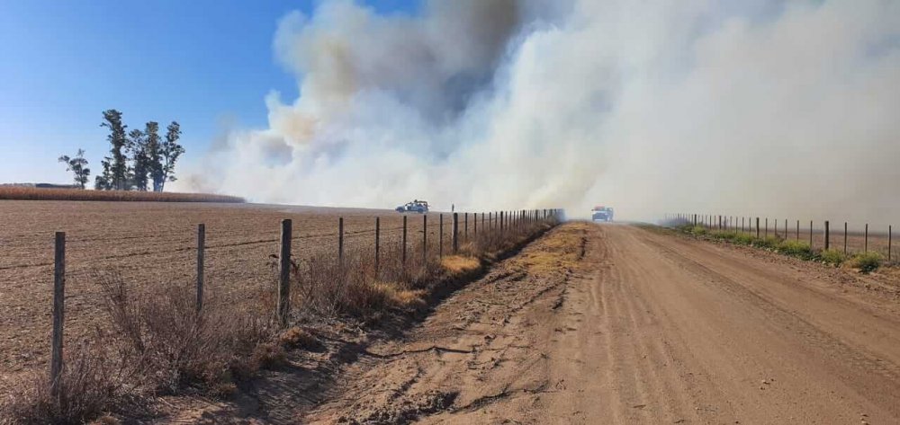 WhatsApp Image 2020 05 26 at 18.10.09 e1590528973796