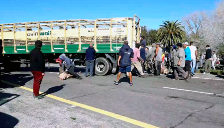 cerdos faena cuatreros