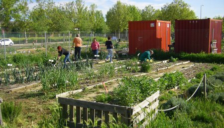 huerto comunitario