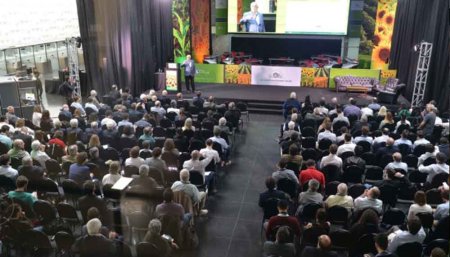 lanzamiento fina gruesa bolsa cereales