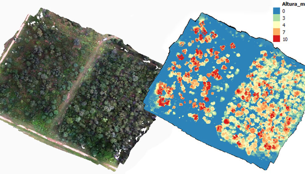 imágenes drones y escaner láser bosques