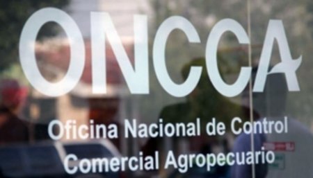 oncca