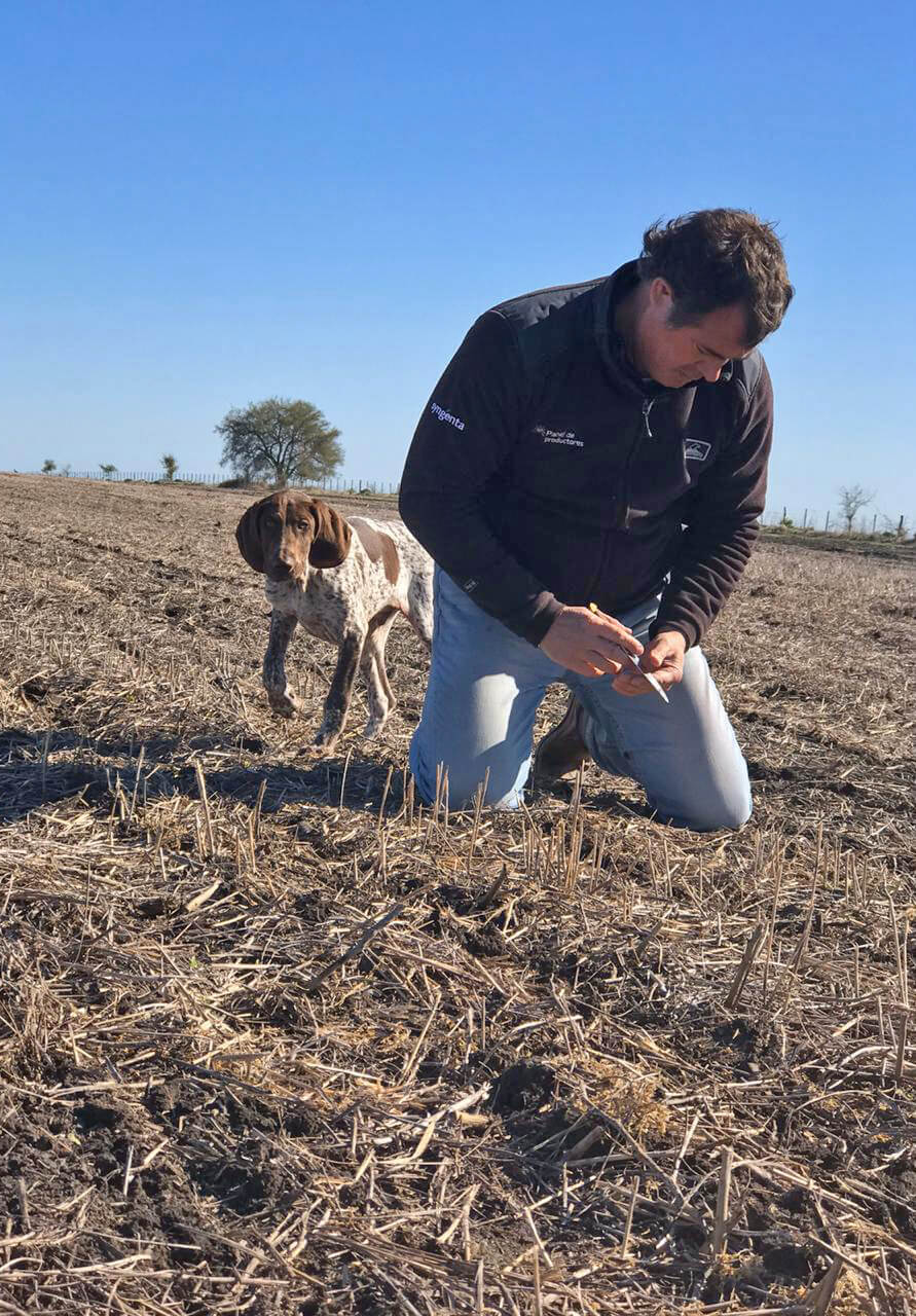 productor monitoreo campo