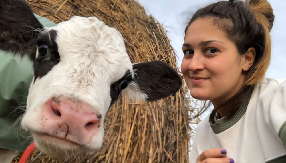 De Ferré al Bayern: la historia de Lucio y Paula, dos jóvenes del agro que fueron a trabajar a Alemania 2 veterinario extranjero