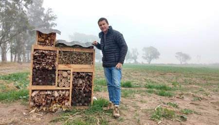 Lucas Andreoni - Hotel de Insectos