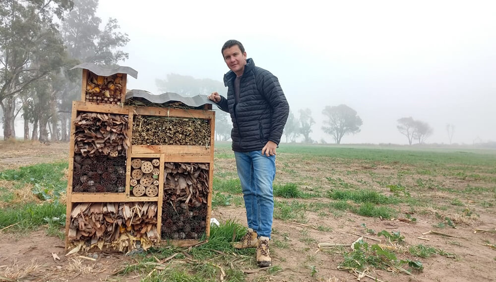 Lucas Andreoni - Hotel de Insectos