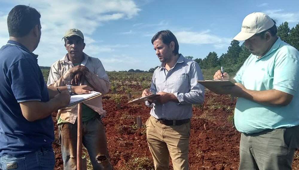 trabajadores rurales