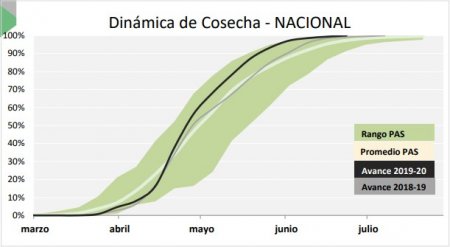 La soja cerró un quinquenio con bajas en las hectáreas y la producción