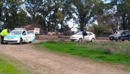 camino clandestino bolivar