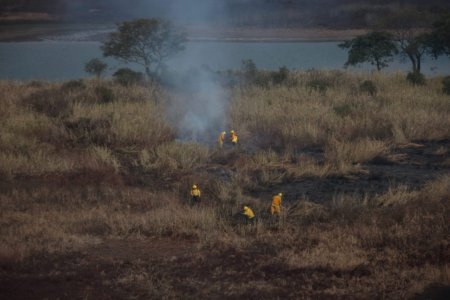 delta parana quema pastizales