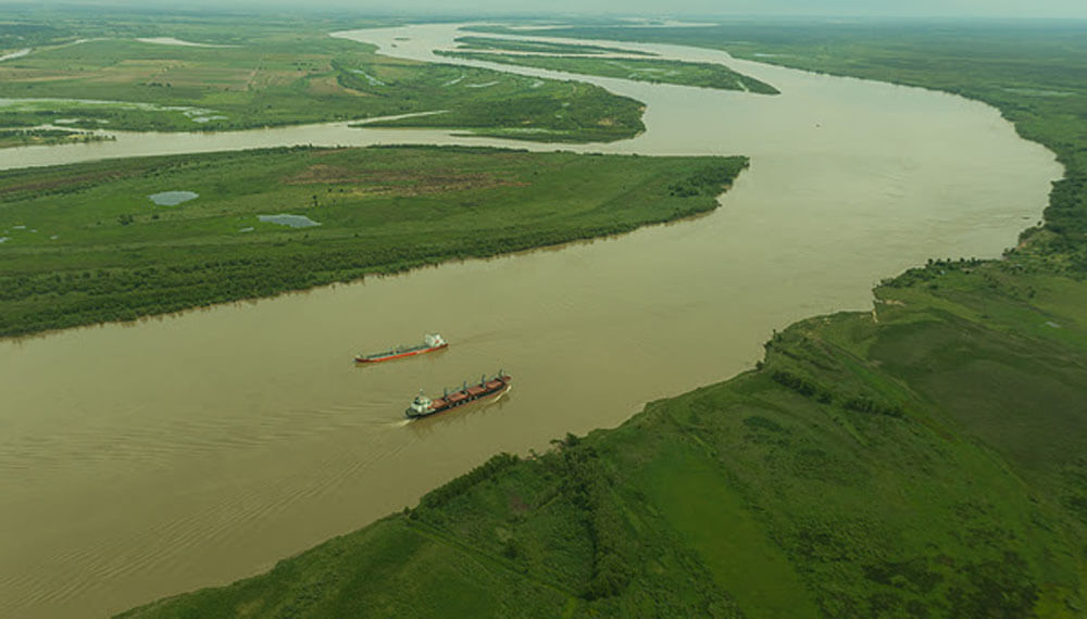 delta parana rio