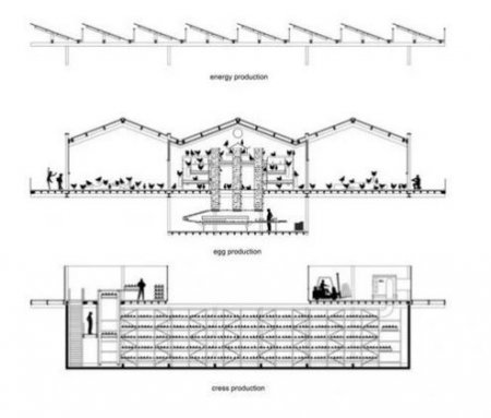 C&oacute;mo es la primera granja av&iacute;cola flotante y completamente sustentable del mundo