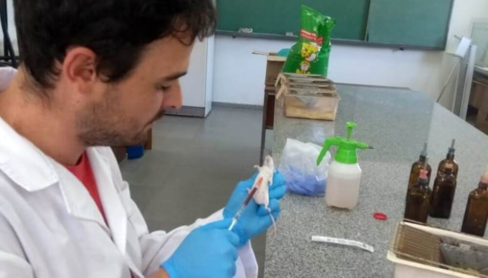 laboratorio investigador