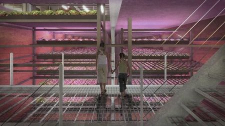 C&oacute;mo es la primera granja av&iacute;cola flotante y completamente sustentable del mundo