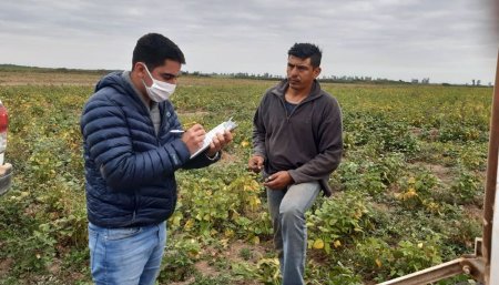 allanamientos renatre