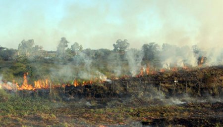 quema pastizales