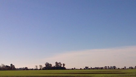 Cielo - Trigo - Clima