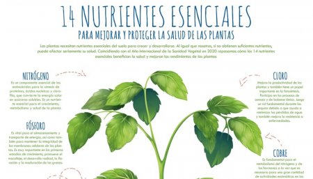 Fertilizar Asociación Civil - Nutrientes