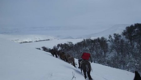 Nevadas intensas - Santa Cruz - 2007
