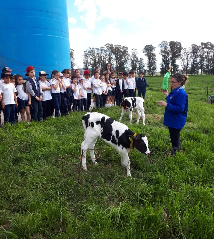 Balcarce: faenaron una vaquillona de un tambo educativo, los agarraron y terminaron presos en Batán 1 Colegio San Jose - Balcarce