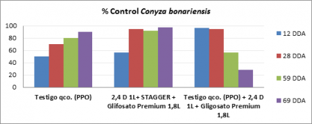 grafico barras infocampo