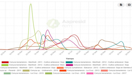 grafico2 conyza infocampo