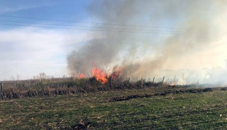 incendio campos trigo