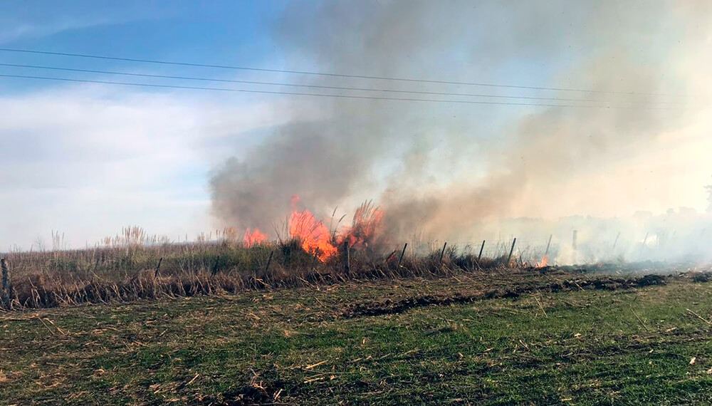 incendio campos trigo