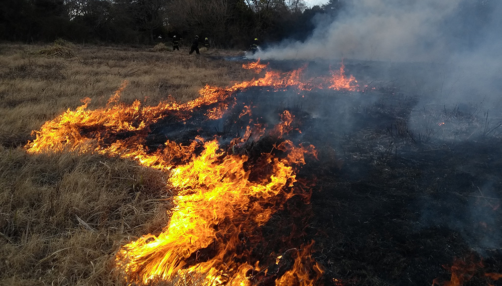 incendio matheu pastizales