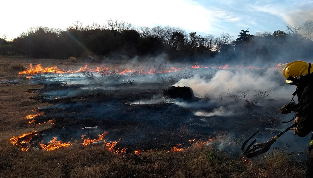 incendio matheu pastizales