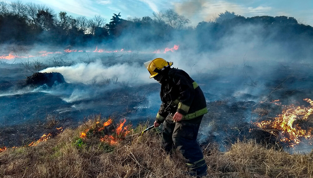 incendio matheu pastizales