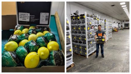 Llegada del limon argentino a Hong Kong - Citromax -