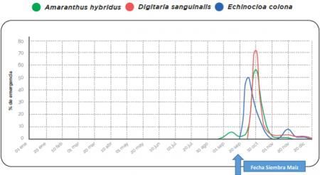 Malezas en maíz: desde sus inicios hasta la actualidad 1 grafico summit 1