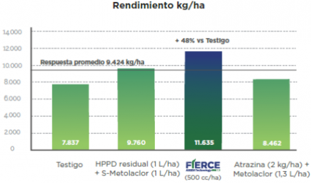 grafico summit 2