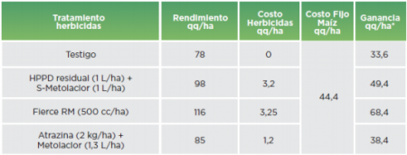 grafico summit 3