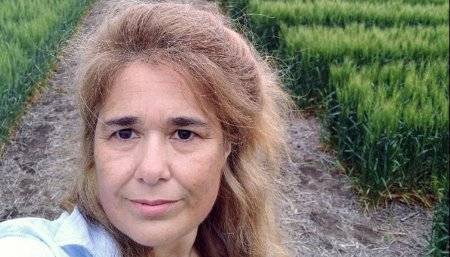 Estrategias preventivas para royas y manchas en estado latente 1 ing infocampo