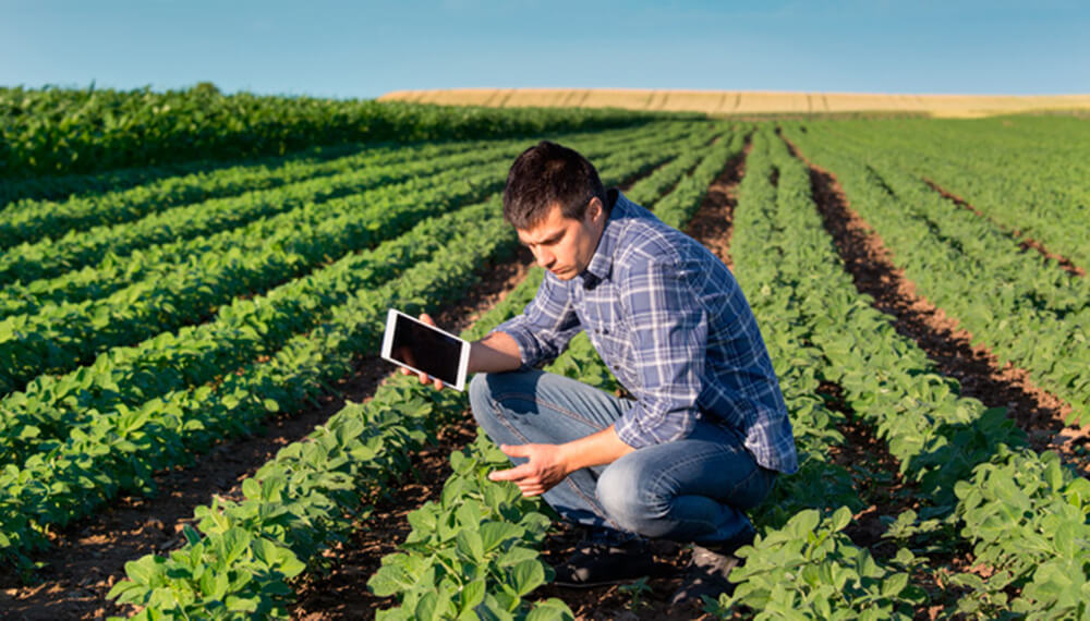 Tecnico - Campo - Tablet- Tecnología - Soja