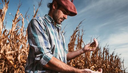 La familia Boccolini - Cordoba - Inversion en riego por goteo