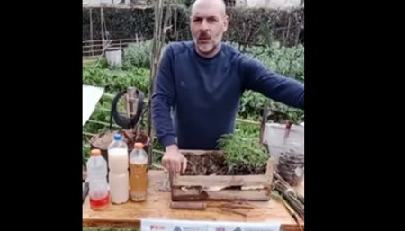 inta huerta agroecologica