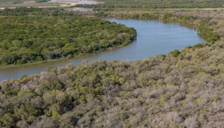 Corral de Yaguarete Impenetrable Fundacion Rewilding Argentina infocampo