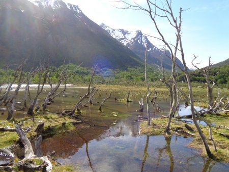 patagonia infocampo