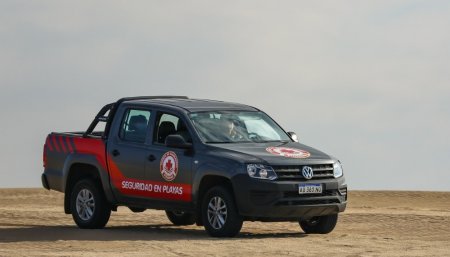 Amarok perfil infocampo