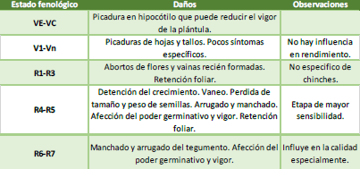 tabla3 summit infocampo