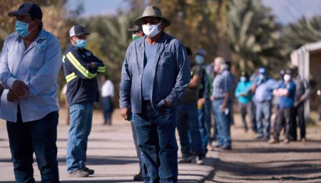 Vacunacion de trabajadores agrícolas en California - USA