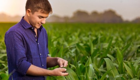 Llega un webinar para conocer a los jóvenes del agro argentino 1 jovenes-dirigentes-sub30-campo