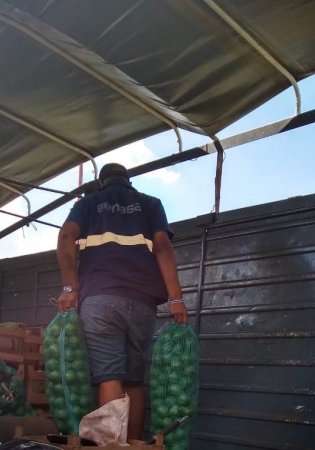 Campaña contra el HLB: decomisaron 300 kg de limones sin documentación en Entre Ríos 1 limones senasa infocampo