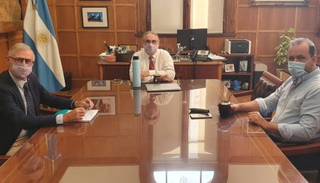 Reunion Echazarreta, Basterra y Solmi