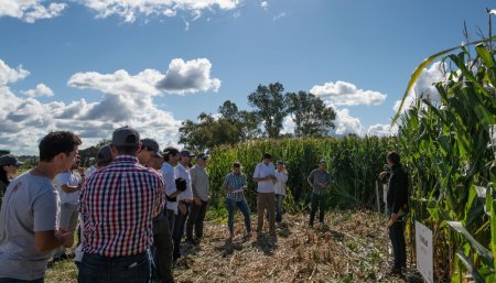 Acopios en el siglo XXI: las buenas prácticas como eje del negocio 1 cultivo tomás hnos infocampo