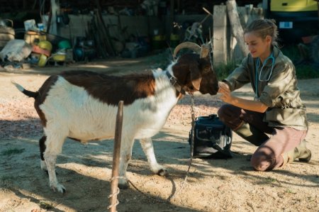 La película que le hace honor a los veterinarios rurales